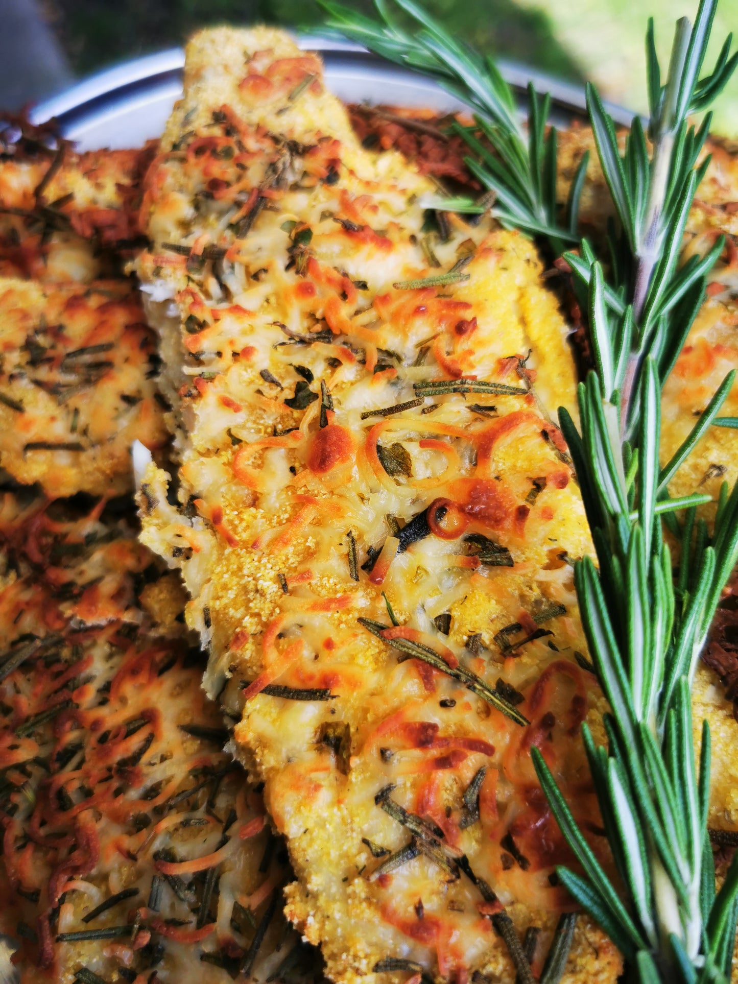 Parmesan Rosemary Crusted Haddock