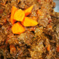 Hungarian Goulash
