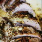 Dijon Cream Pork Tenderloin - Includes Starch & Veggies (Frozen Meal)