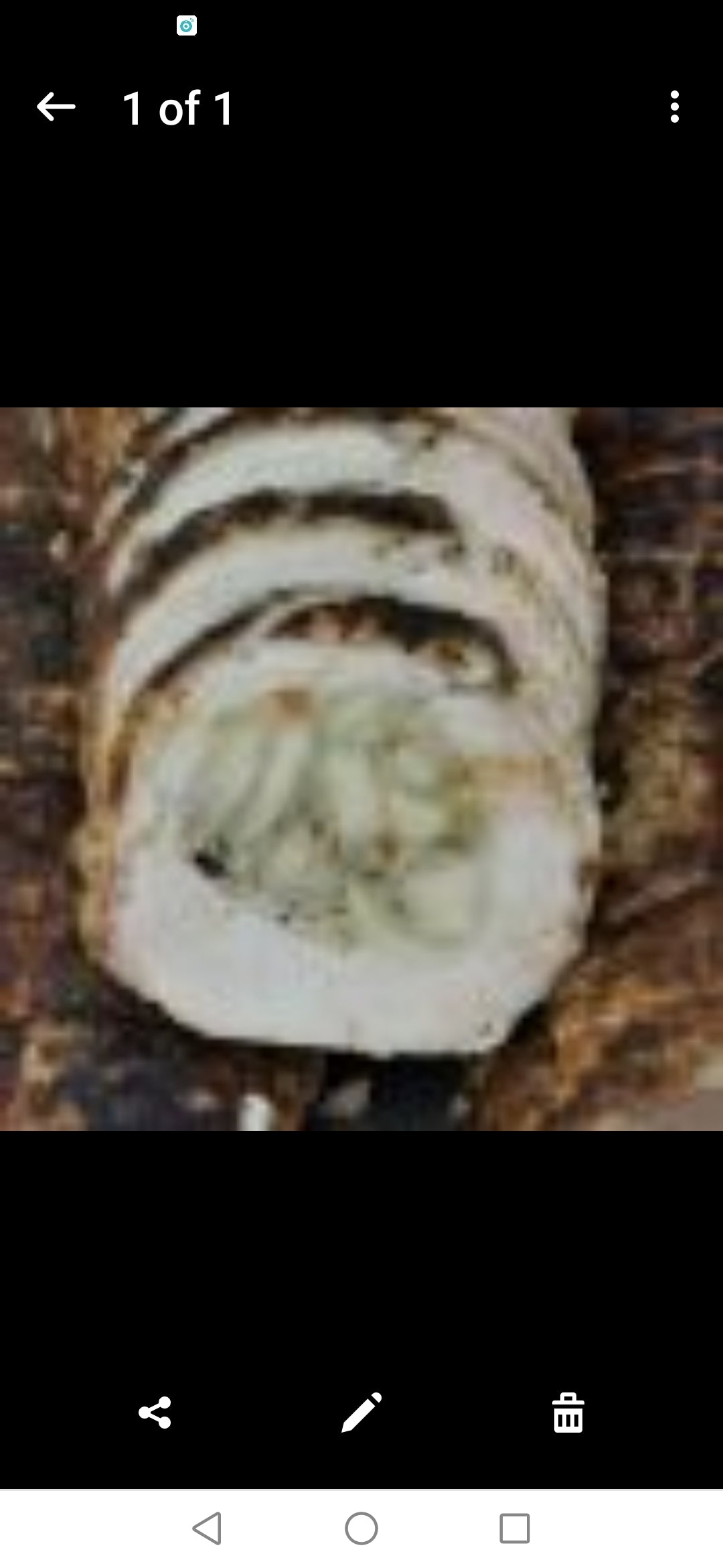 Stuffed Pork Loin ~ Includes Starch & Veggies (Frozen Meal)